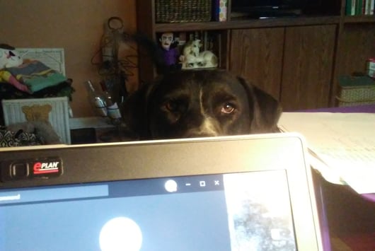 Karen - working from home