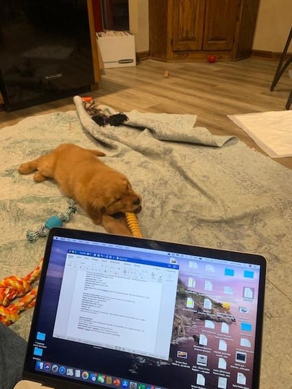 John Hofer - working from home