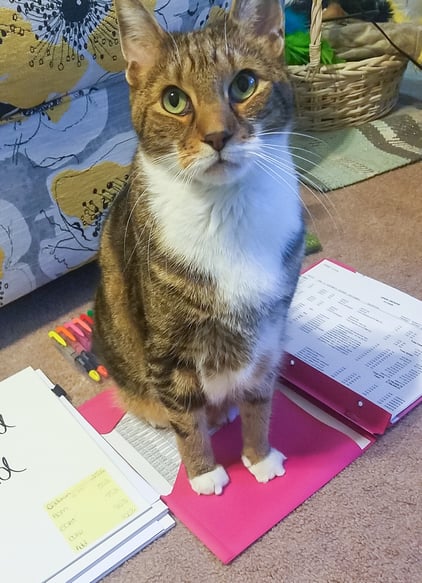 Mandy- working from home-1