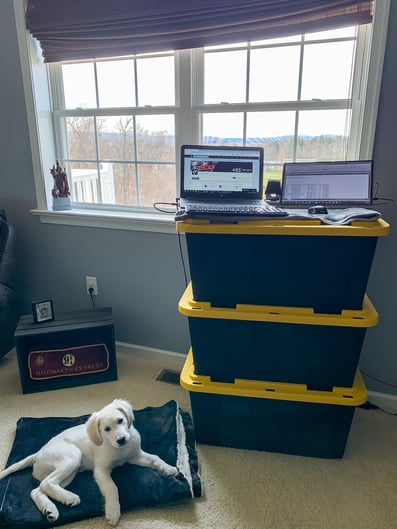 russ - working from home