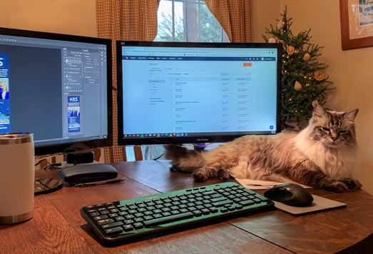tori - working from home