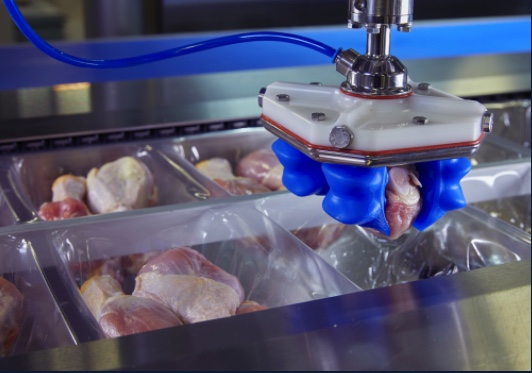 Robotic poultry thermoformer loading