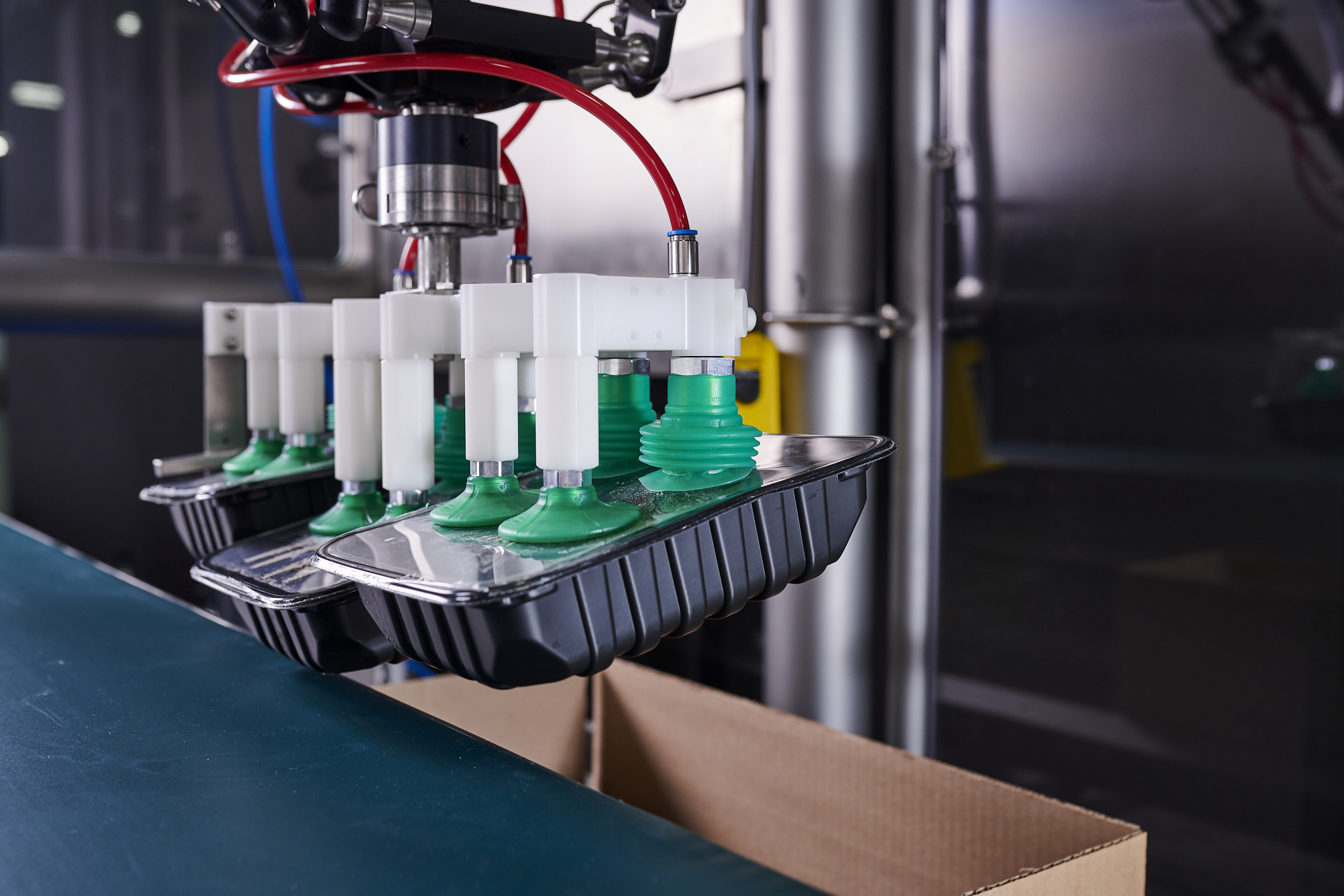 Automating MAP Tray Case Packing Without Compromising Seal Integrity