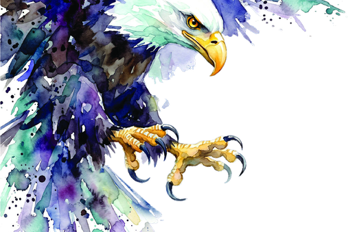 JLS Talon watercolor bird illustration