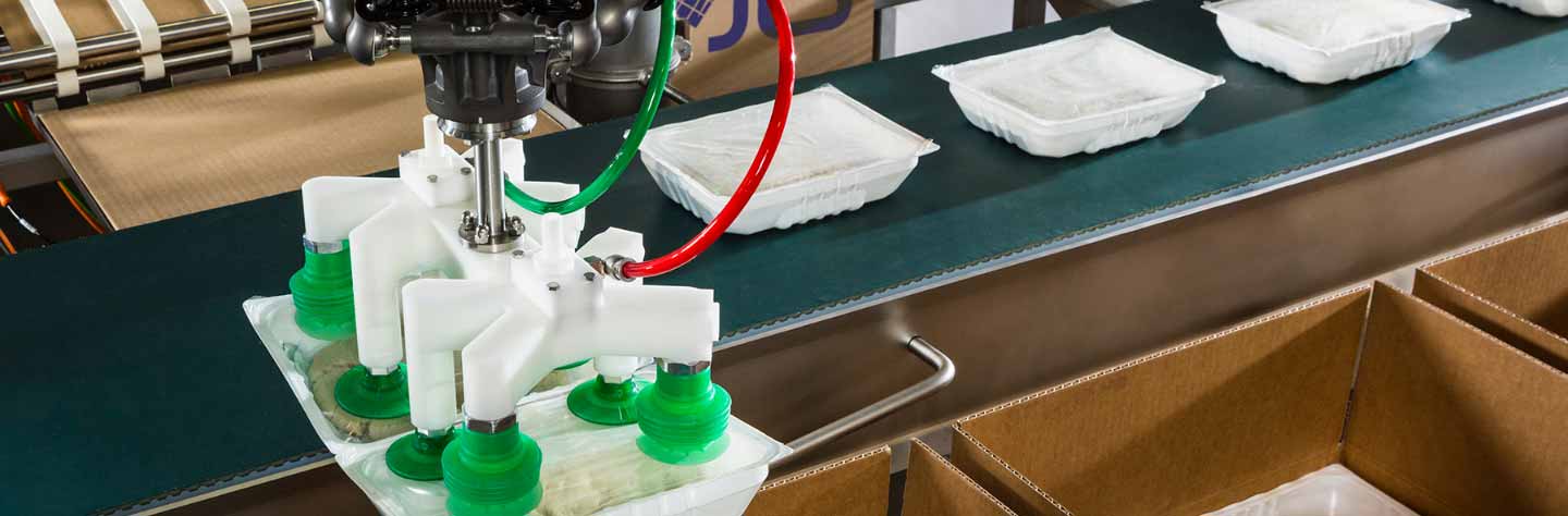 An Architecture for Success: Cartoning Solutions with Flexible Controls