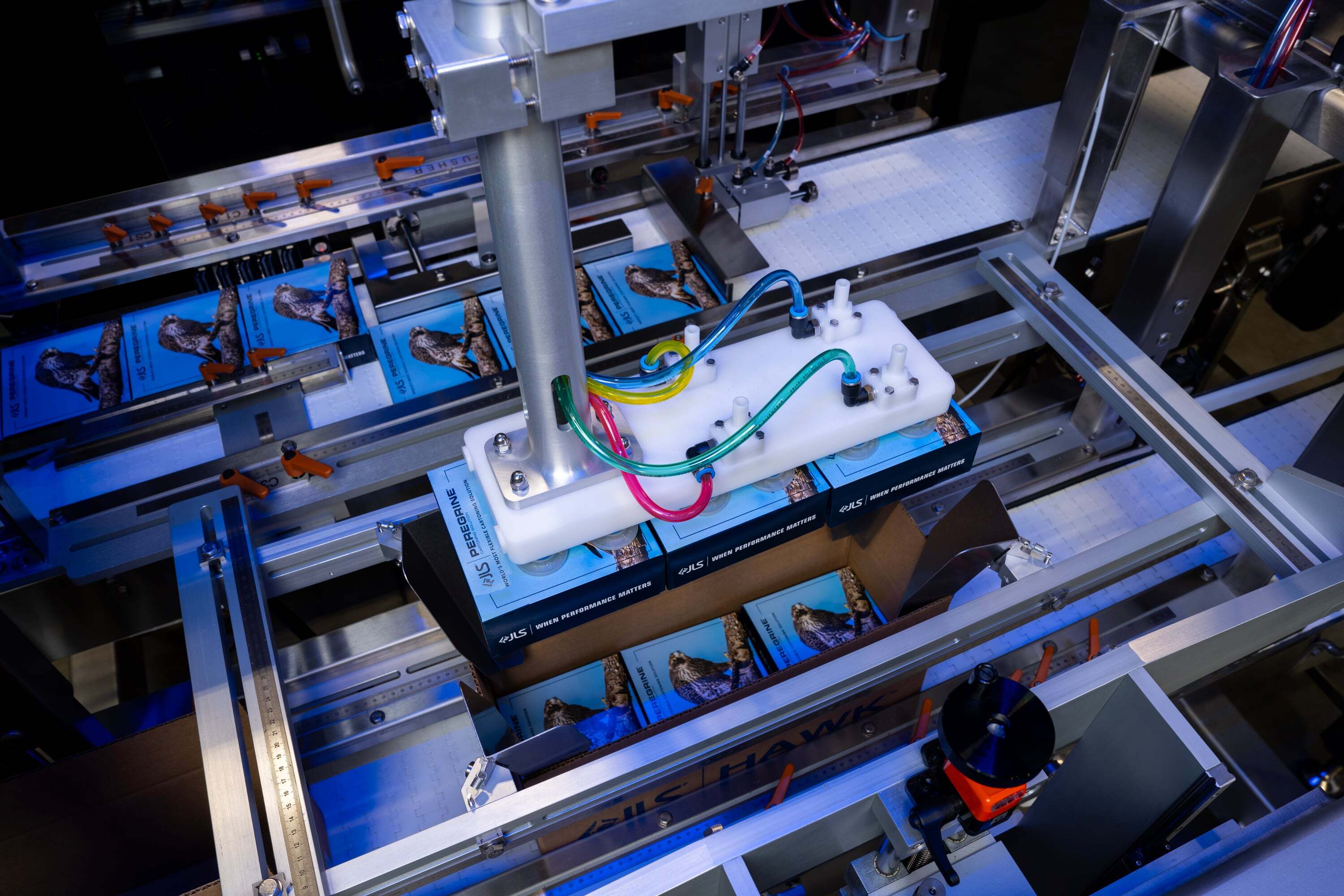 Hawk 2-axis robotic case loader packing products into cartons