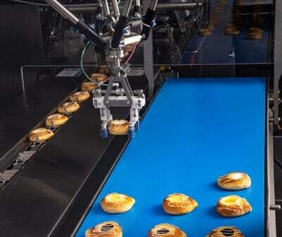 Talon FW robot loading product into a horizontal flow wrapper
